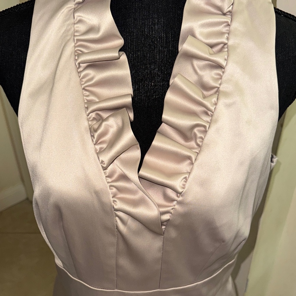 NWT Just Taylor Elegant Sleeveless Ruffle Neck Dress - beige size 12 - Picture 3 of 8